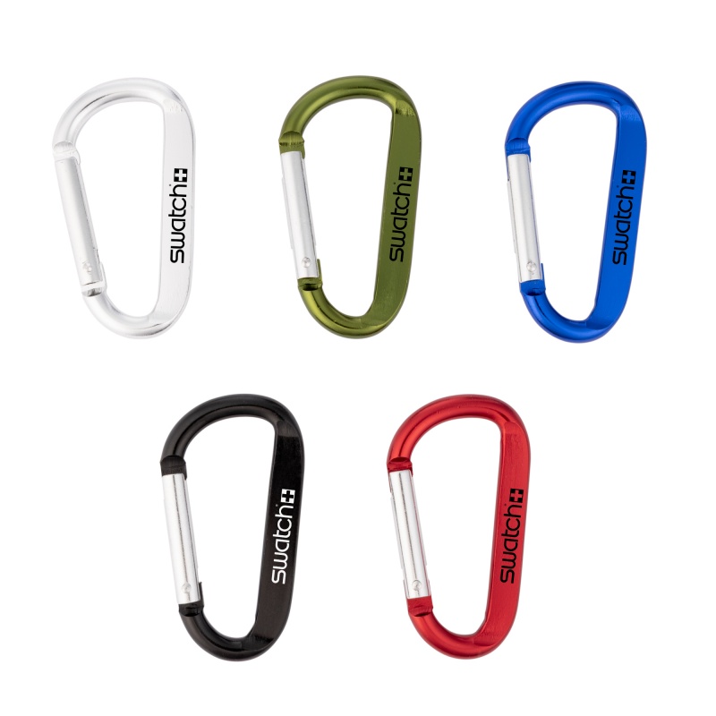 Carabiner Clip Keychain