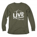 ACE Ladies' Long Sleeve Slub T-Shirt